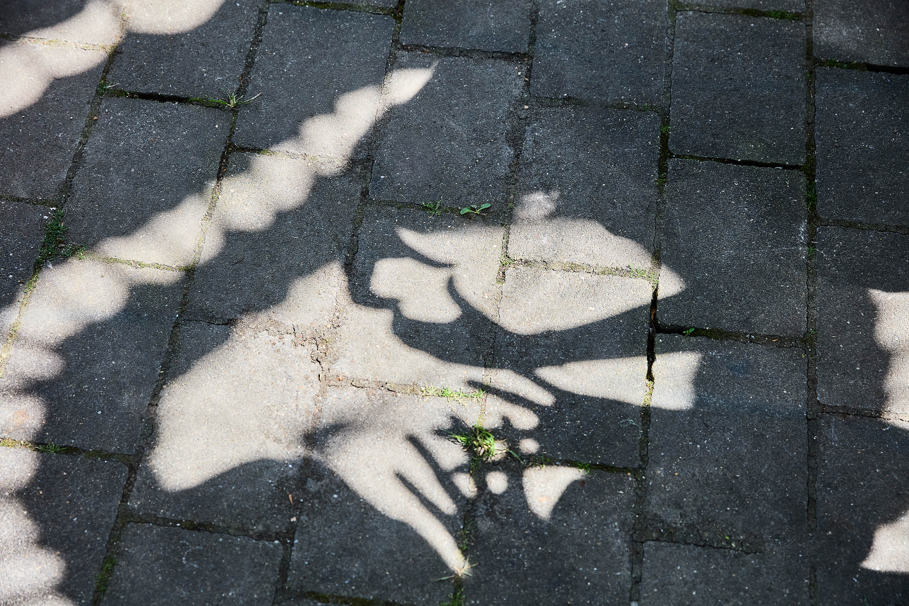 Kjk raeumlichkeiten 068 2024 gerrit cramer cramer fotografie